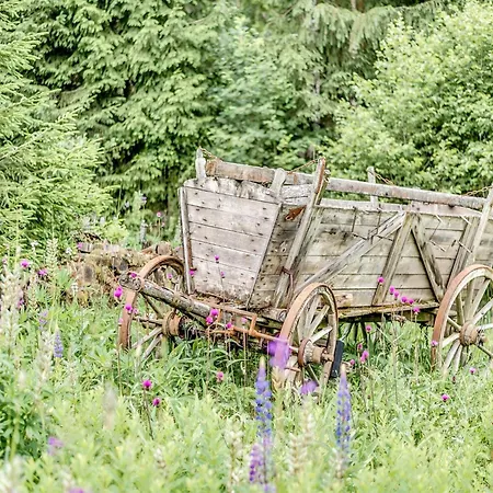 Appartamento Luxurious In Jaegersgruen With Saunas *