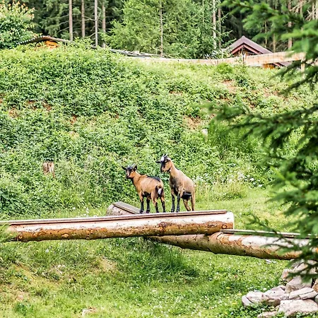 Appartamento Luxurious In Jaegersgruen With Saunas *